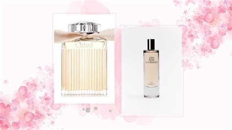 chloe perfume dupe reddit|Perfumes Similar To Chloe Eau de Parfum [Best Dupes].